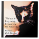 Search for thought image Cat