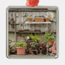 Search for weather christmas tree decorations California