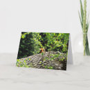 Search for wildlife photography cards Orange