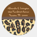 Search for leopard envelope seals Animal