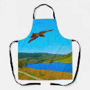 Search for flying bird aprons Wildlife