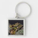 Search for red eye key rings Red eyed tree frog