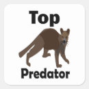Search for carnivores stickers Cute