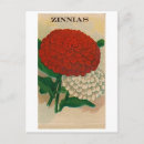 Search for vintage flower seeds postcards Gardener
