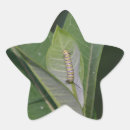 Search for larva stickers Caterpillar