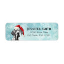 Search for great dane dog return address labels Blue