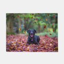 Search for labrador doormats Cute