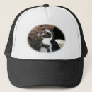 Search for wild birds hats Black