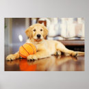 Search for basketball posters Cute
