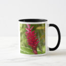Search for south pacific mugs Polynesian