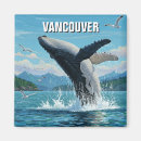 Search for humpback magnets Breaching