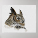 Search for owl drawing posters Black