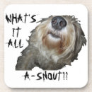 Search for funny pun coasters Animal