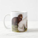 Search for arctic fox mugs Mammal