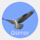 Search for osprey stickers Wildlife