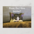 Search for another horizontal postcards Cat