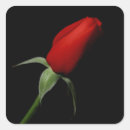 Search for rose bud stickers Bride