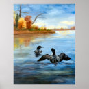 Search for loon posters Waterfowl