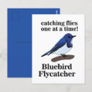 Search for bluebird postcards Birdwatching