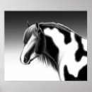Search for gypsy horse posters Pinto