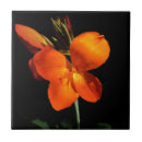 Search for dazzle tiles Floral