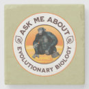 Search for monkey drinking barware Chimp