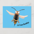 Search for entomology postcards Arthropoda