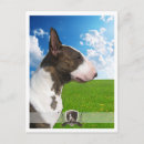 Search for 2011 postcards Design