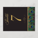 Search for black feathers postcards Peacock