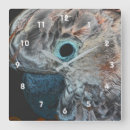 Search for cockatoo art Bird
