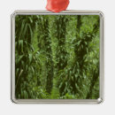 Search for costa rica christmas tree decorations Green