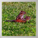 Search for 5 a day posters Cute