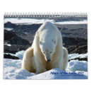 Search for bears calendars Nature