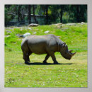 Search for zoo posters Photography