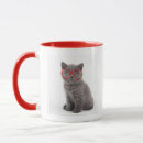 Search for baby kitten mugs Pet