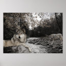Search for brook posters Wolf