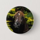 Search for stallion badges Horse