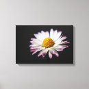 Search for bellis art Yellow