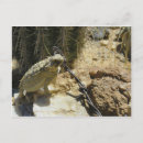 Search for horny postcards Horned