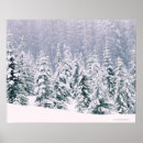 Search for snow covered trees posters Nature
