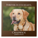 Search for memorial tiles Cat