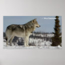 Search for docs art Wildlife