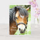 Search for cute pony cards Animals