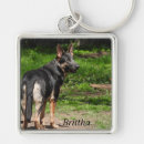 Search for gsd key rings Pet
