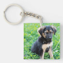 Search for german shepherd key rings Animal