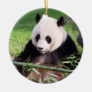 Search for panda bear christmas christmas tree decorations Animals