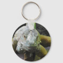 Search for iguanas key rings Green iguana