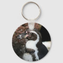 Search for penguin photo key rings Animal