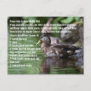 Search for fowl cards invites Wildlife