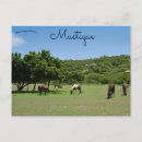 Search for grazing postcards Animals